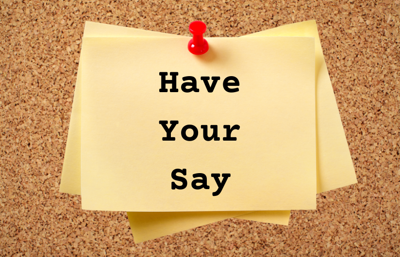 Have Your Say.png